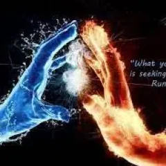 Free Consultation – 20 Minutes